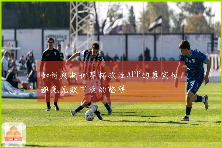 如何判断世界杯投注APP的真实性,避免无效下注的陷阱