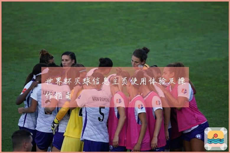 世界杯买球信息主页使用体验及操作指南
