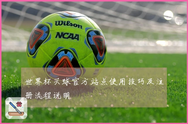世界杯买球官方站点使用技巧及注册流程说明