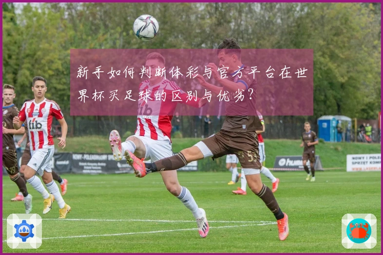 新手如何判断体彩与官方平台在世界杯买足球的区别与优劣？