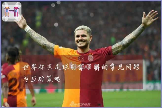 世界杯买足球前需了解的常见问题与应对策略