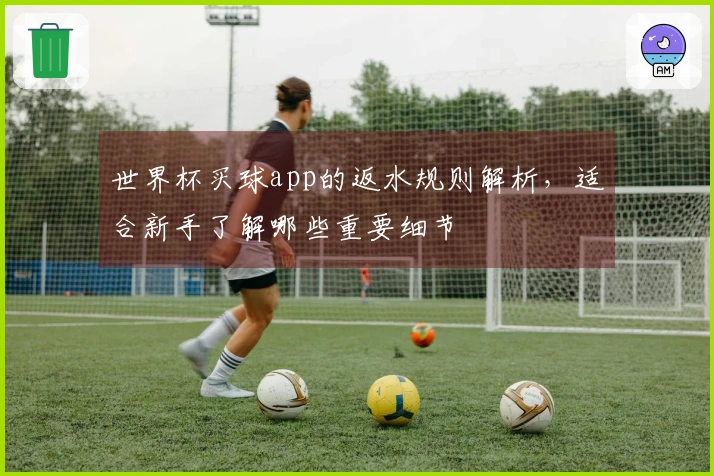 世界杯买球app的返水规则解析，适合新手了解哪些重要细节