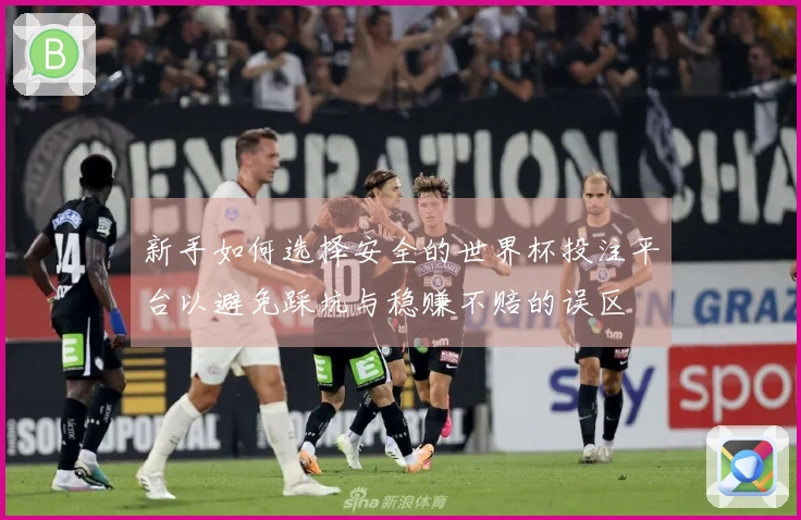 新手如何选择安全的世界杯投注平台以避免踩坑与稳赚不赔的误区