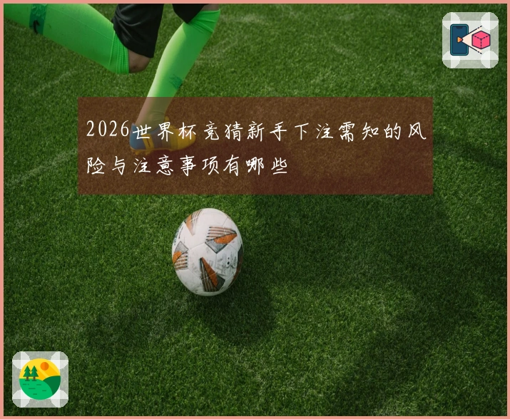 2026世界杯竞猜新手下注需知的风险与注意事项有哪些
