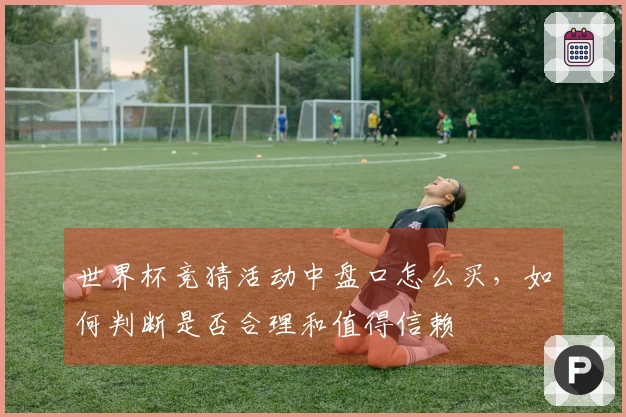 世界杯竞猜活动中盘口怎么买，如何判断是否合理和值得信赖