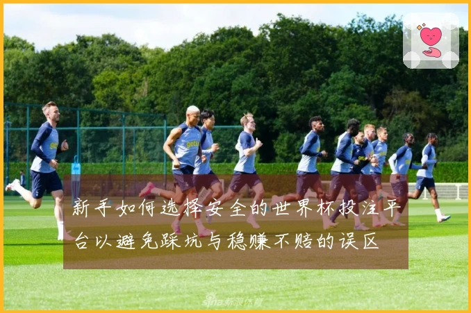 新手如何选择安全的世界杯投注平台以避免踩坑与稳赚不赔的误区