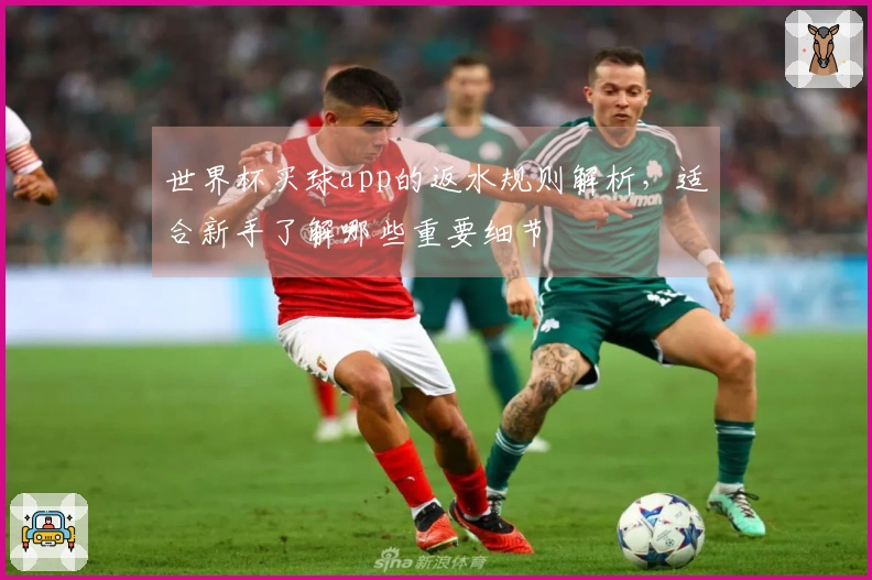 世界杯买球app的返水规则解析,适合新手了解哪些重要细节
