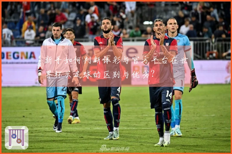 新手如何判断体彩与官方平台在世界杯买足球的区别与优劣？