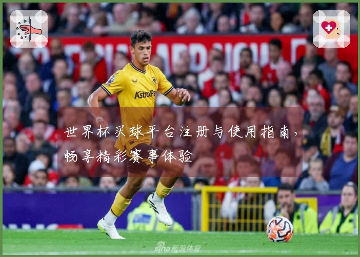 世界杯买球平台注册与使用指南，畅享精彩赛事体验