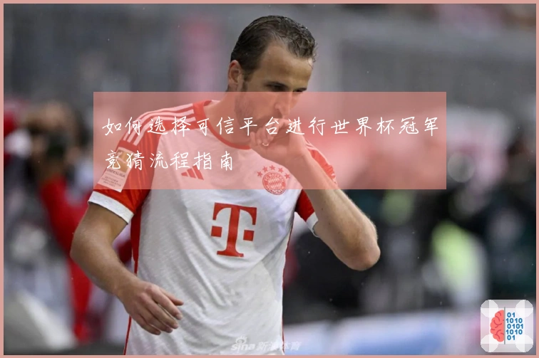 如何选择可信平台进行世界杯冠军竞猜流程指南