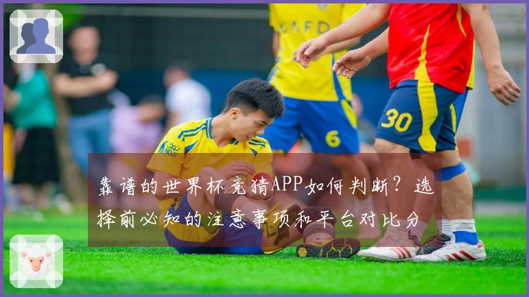 靠谱的世界杯竞猜APP如何判断?选择前必知的注意事项和平台对比分析