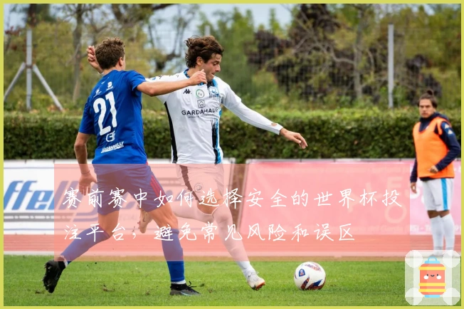 赛前赛中如何选择安全的世界杯投注平台，避免常见风险和误区