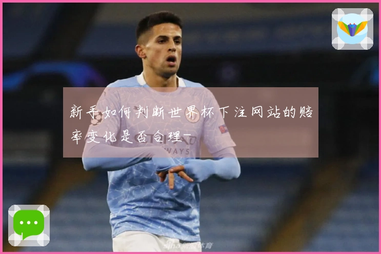 新手如何判断世界杯下注网站的赔率变化是否合理-